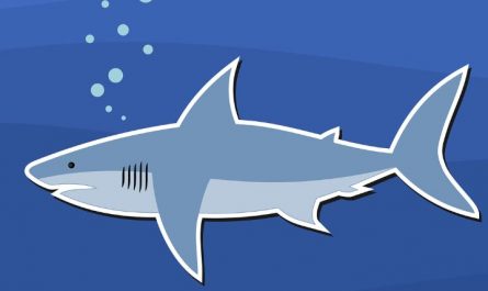 5 Spiritual Meanings of Dreaming about eating shark
