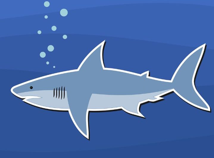 5 Spiritual Meanings of Dreaming about eating shark