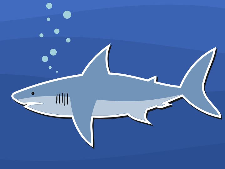 5 Spiritual Meanings of Dreaming about eating shark