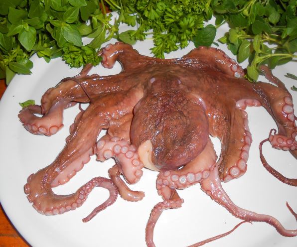 5 Spiritual Meanings of Dreaming about eating octopus
