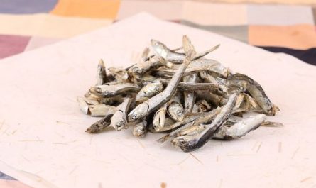 5 Spiritual Meanings of Dreaming about anchovies