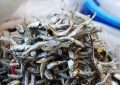 5 Spiritual Meanings of Dreaming about Eating anchovies