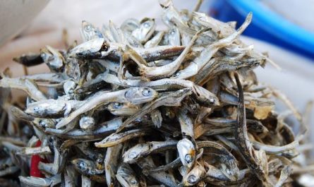 5 Spiritual Meanings of Dreaming about Eating anchovies