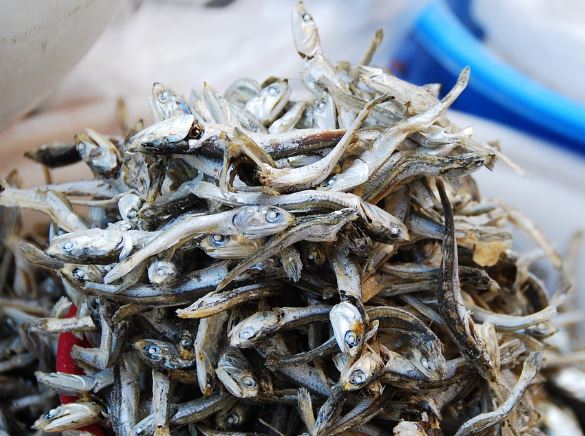 5 Spiritual Meanings of Dreaming about Eating anchovies