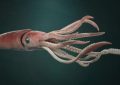 5 Spiritual Meanings of Dreaming about a giant squid dying