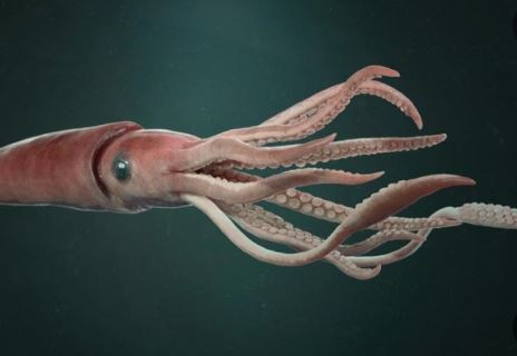 5 Spiritual Meanings of Dreaming about a giant squid dying