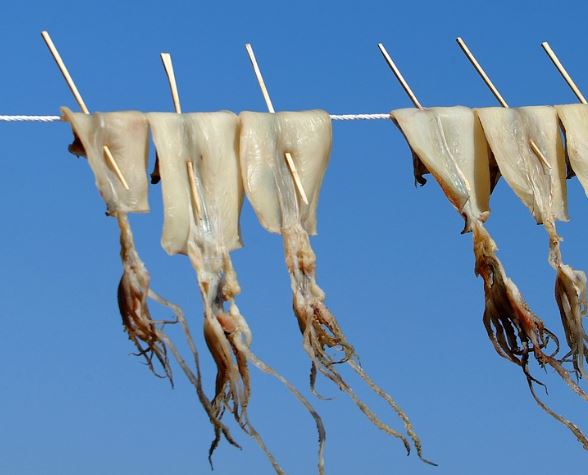 5 Spiritual Meanings of Dreaming about dried squid