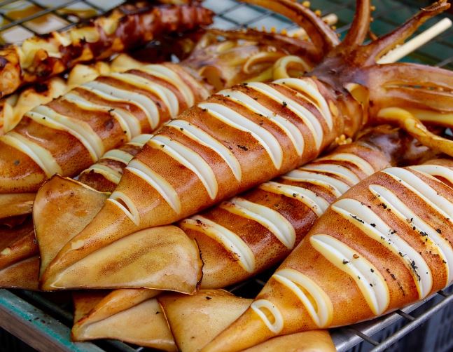 5 Spiritual Meanings of Dreaming about dead squid