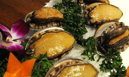 5 Spiritual Meanings of Dreaming about abalone
