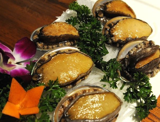 5 Spiritual Meanings of Dreaming about abalone