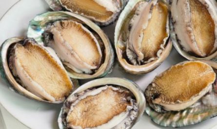 5 Spiritual Meanings of Dreaming about Buying abalone