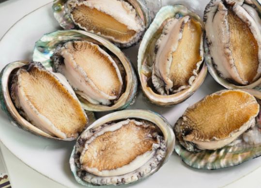 5 Spiritual Meanings of Dreaming about Buying abalone