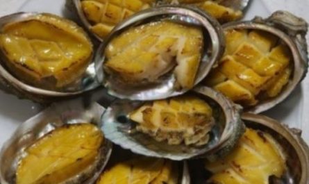 5 Spiritual Meanings of Dreaming about a large abalone