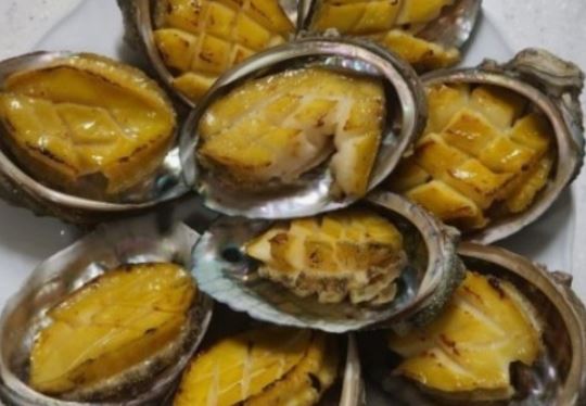 5 Spiritual Meanings of Dreaming about a large abalone