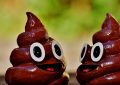 5 Spiritual Meanings of Dreaming about growing poop