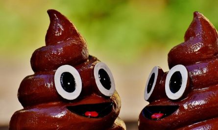 5 Spiritual Meanings of Dreaming about growing poop