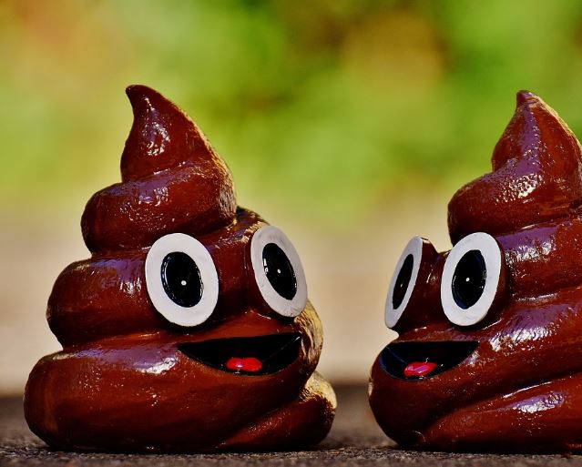 5 Spiritual Meanings of Dreaming about growing poop