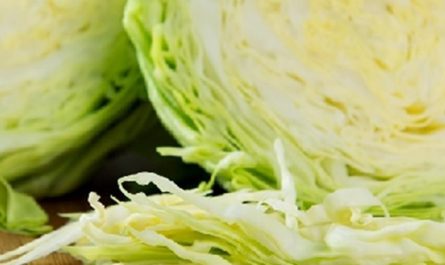 9 Spiritual Meanings of Dreaming of Planting Cabbage