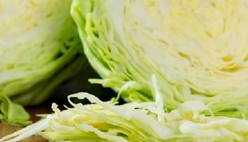 9 Spiritual Meanings of Dreaming of Planting Cabbage