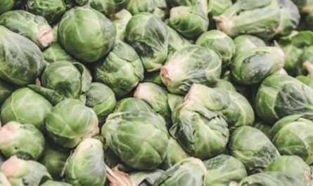 9 Spiritual Meanings of Dreaming of Picking Cabbage