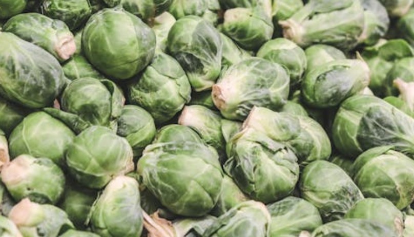 9 Spiritual Meanings of Dreaming of Picking Cabbage