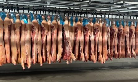 25 Spiritual Meanings of Dreaming of Corpse