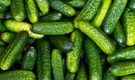 8 Spiritual Meanings of Dreaming of Cucumbers