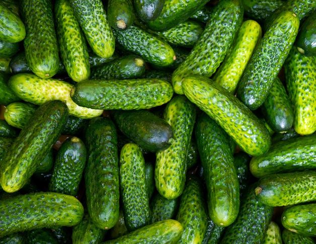 8 Spiritual Meanings of Dreaming of Cucumbers