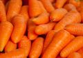 8 Spiritual Meanings of Dreaming of Carrots