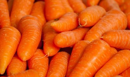 8 Spiritual Meanings of Dreaming of Carrots