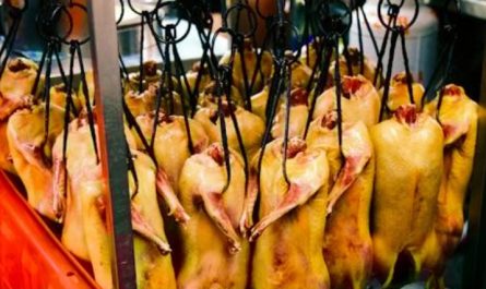 9 Spiritual Meanings of Dreaming About Eating Duck Meat