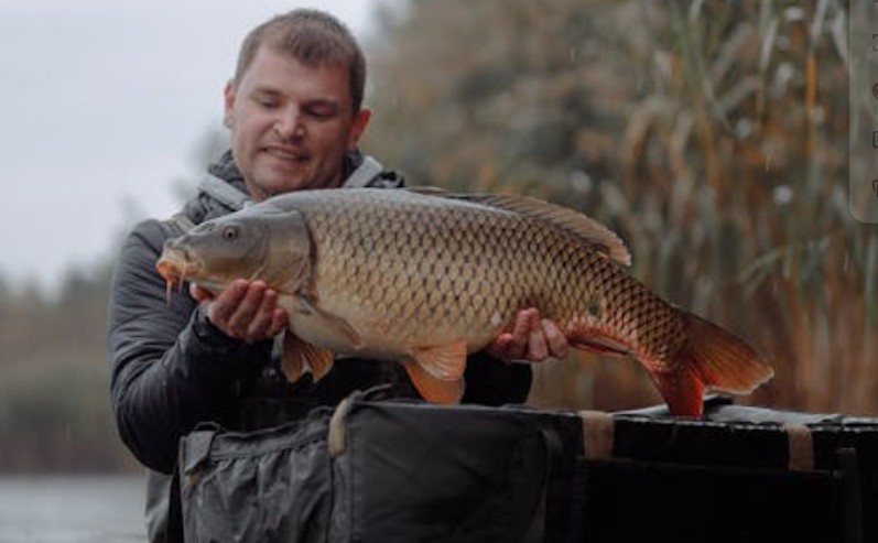 16 Spiritual Meanings of Dreaming of Carp