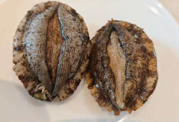 16 Spiritual Meanings of Dreaming About Eating Abalone