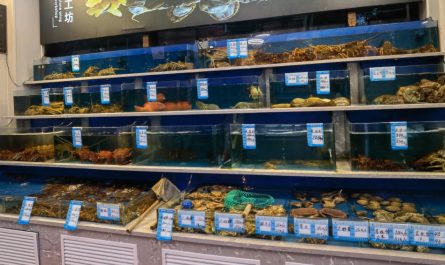 9 Spiritual Meanings of Dreaming About a Fish Shop