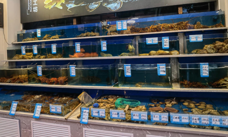 9 Spiritual Meanings of Dreaming About a Fish Shop