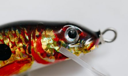 9 spiritual meanings of dreaming about a dead goldfish