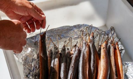 5 symbolic meanings of dreaming about cleaning fish