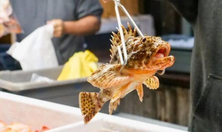 9 symbolic meanings of dreaming about buying fish