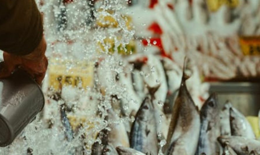 9 symbolic meanings of dreaming about catching fish