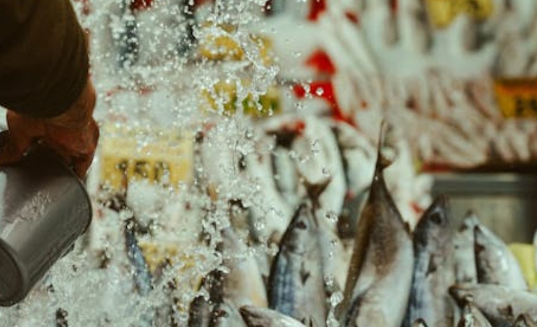 9 symbolic meanings of dreaming about catching fish