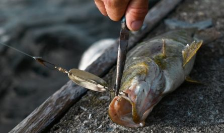 9 Symbolic Meanings of Dreaming About Fishing