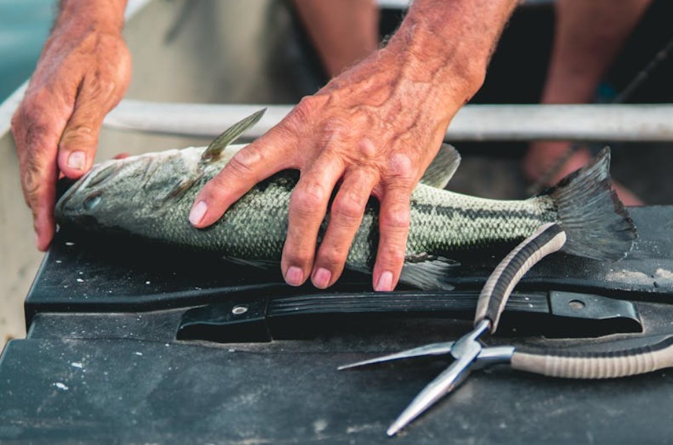 9 symbolic meanings of dreaming about cutting fish