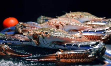 9 Spiritual Meanings of Dreaming About Buying Flower Crabs