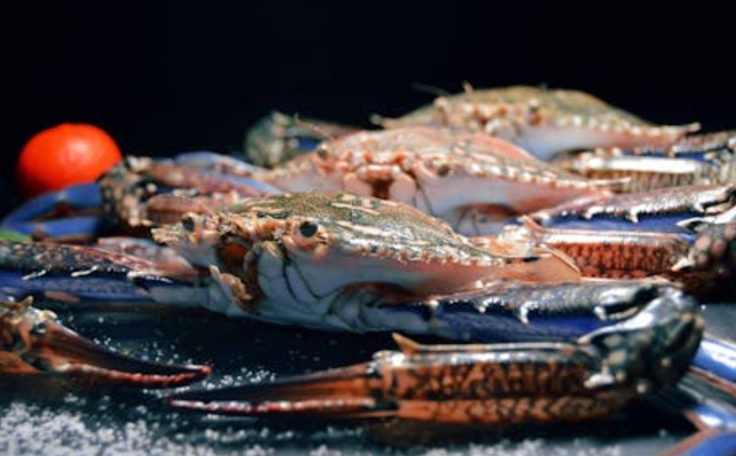 9 Spiritual Meanings of Dreaming About Buying Flower Crabs