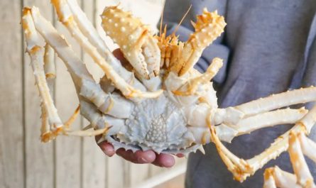 9 Spiritual Meanings of Dreaming About Catching Crabs