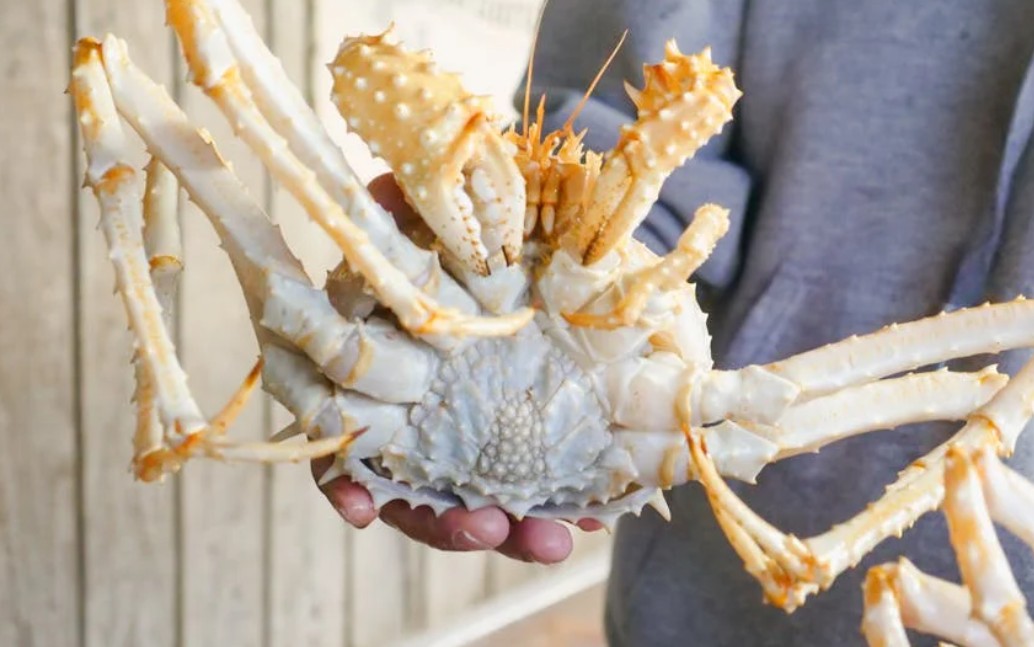 9 Spiritual Meanings of Dreaming About Catching Crabs