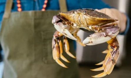 9 Spiritual Meanings of Dreaming of Large Crabs