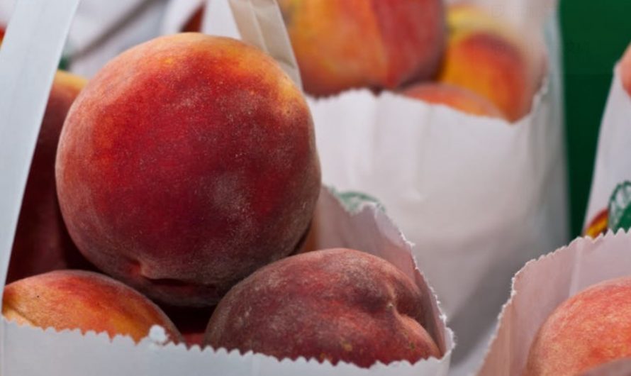 12 Spiritual Meanings of Dreaming of Rotten Peaches