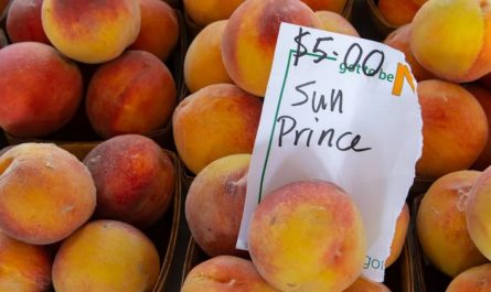 9 Spiritual Meanings of Dreaming About Buying Peaches