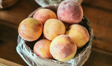 9 Spiritual Meanings of Dreaming of Receiving Peaches as a Gift